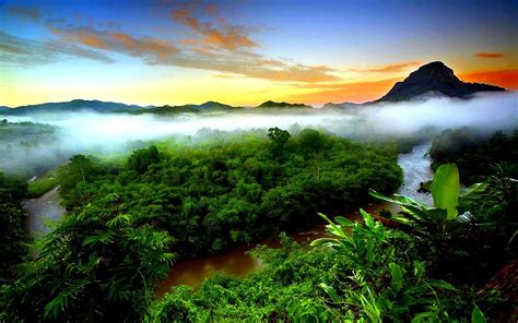Tropical Rainforest Mist Evaporation Green Forest Mountain Sky Sunset