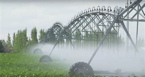 Report Looks At The Benefits Of Irrigation Expansion Alberta Farmer