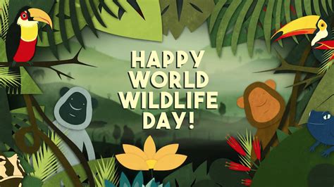 5 Ted Ed Lessons To Watch On World Wildlife Day