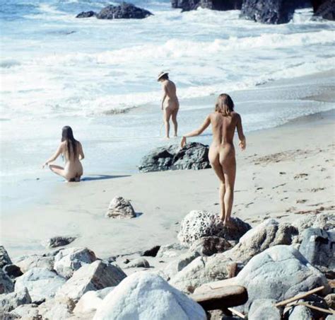 Virtual Nudist Camp