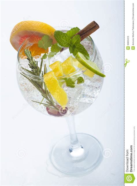 If possible, pick the fruit off the tree just before serving. Salad Fruit Gin Tonic Isolated Over White Stock Photo ...