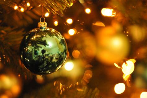 Wallpaper : Christmas, xmas, winter, holiday, tree, green, happy, 50mm, lights, Nikon, warm 