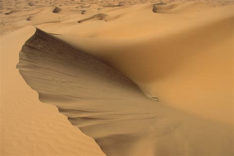 Free Images Landscape Sand Wing Structure Desert Dune Habitat
