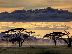 Most, Important, Natural, Attractions, In, Tanzania