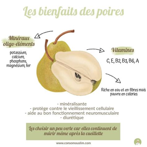 Infographie ⠀⠀⠀⠀⠀⠀⠀⠀⠀ La Poire Est De Saison En Ce Mois De Janvier