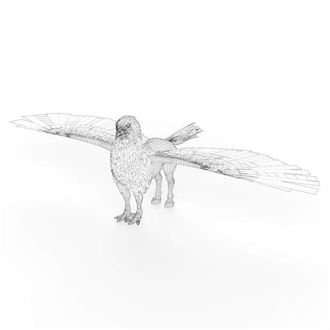 Fantasy Hippogriff 3d Model By Creativejungle