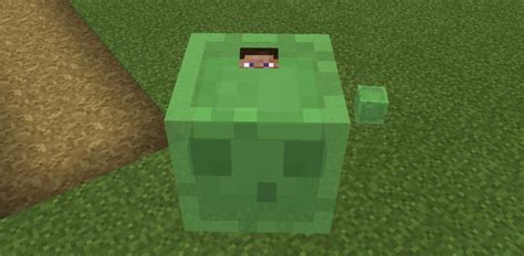 Just browse what mod you like, then press install, all done. Minecraft Pocket Edition: All Mobs Rideable Add-On ...