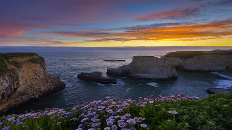 Nature Landscape Sunset Dawn Sea Rocks Wildflowers Sky Clouds