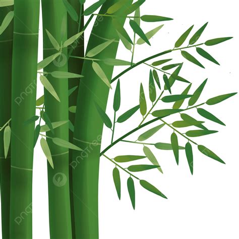 Daun Bambu Clipart Png Vector Psd And Clipart With Transparent