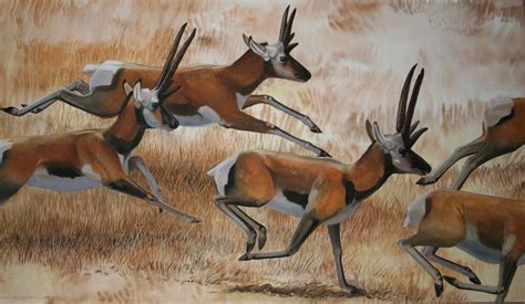 From wikimedia commons, the free media repository. Tetrameryx - Peter Schouten Wildlife Artist