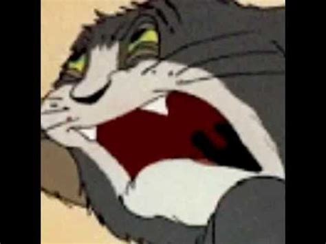 It might be a funny scene, movie quote, animation, meme or a mashup of multiple sources. Image result for tom and jerry meme | Tom and jerry memes