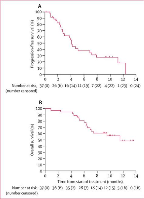 Figure From Nivolumab For Previously Treated Unresectable Metastatic