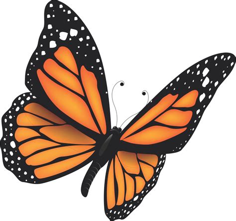 Monarch Butterfly Cartoon