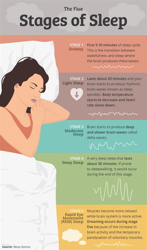 sleep cycle stages chart