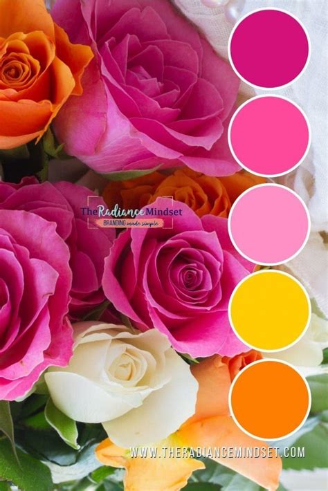 Pantone Ombre Colour Palettes Brand Color Palette Branding Color