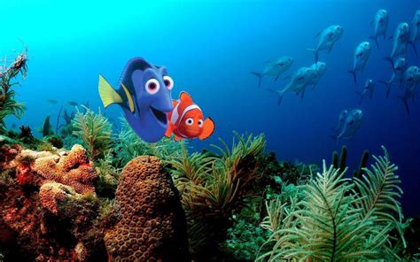 Finding Nemo Backgrounds Wallpaper Cave