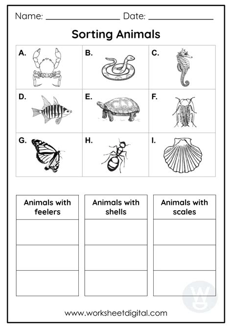 Sorting Animals Worksheet Digital