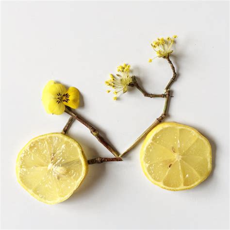 Lemon Bicycle Flora Forager