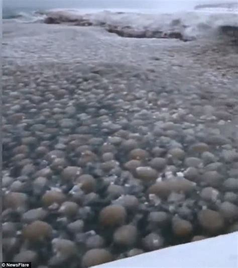 Ice Balls Spotted On Shores Of Lake Michigan As Temperatures Plummet