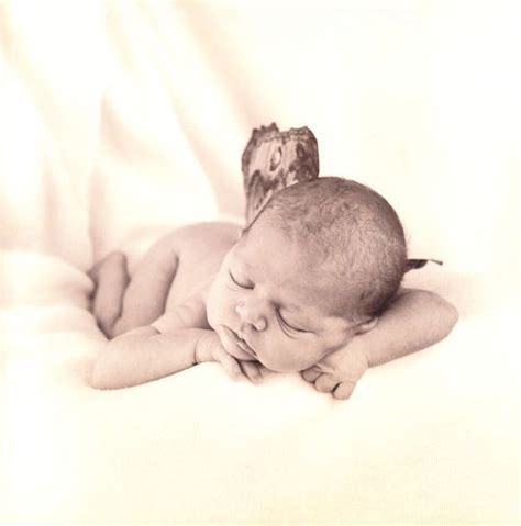 Anne Geddes Is A World Famous Baby Photgrapher Anne Geddes Geddes