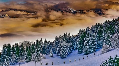 Alle bilder und hintergrundbilder sind gut für windows 10 geeignet. Wallpaper Windows 10 Kostenlos Winter