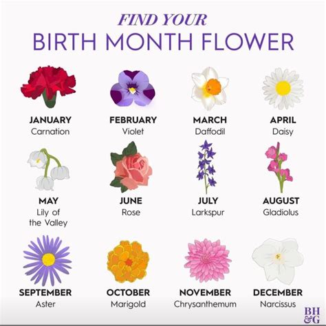 Pin By Lise Mcdougall On Positive Images Birth Flower Tattoos Birth
