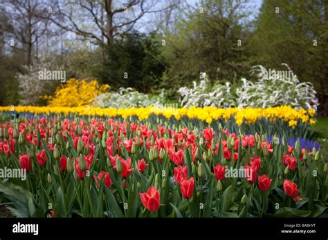 Field Of Tulips Keukenhof Park Lisse Garden Of Europe The Worlds