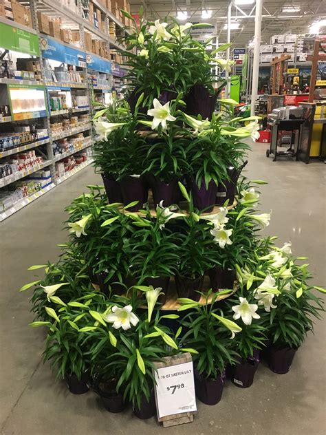 Review Of Lowes Garden Center Trees Ideas