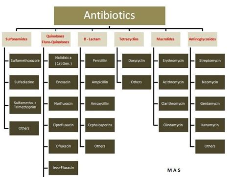 Antibiotic Classifications And Several Commonly Used Medications A