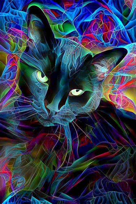 Black Cat Art Psychedelic Art Fractal Art Psychedelic Cat Etsy In