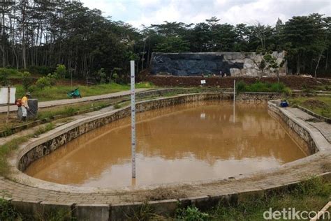 Untuk kamu yang aktif menggunakan media sosial, ada. Foto: Ini Dia Kebun Rayanya Boyolali - Foto 5