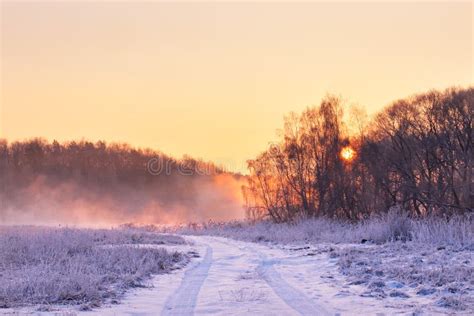Winter Misty Colorful Sunrise Rural Foggy And Frosty Scene Stock
