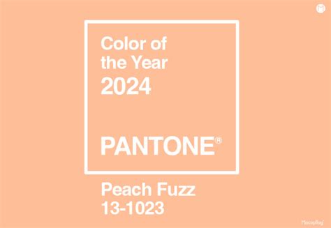 Pantone® Dévoile La Couleur De Lannée 2024 Blog Macap