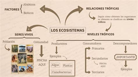 Mapa Mental Los Ecosistemas