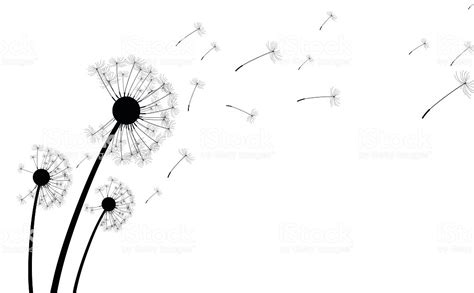 Easy dandelion drawing step by step tutorial. Dandelion Flower Drawing | Free download on ClipArtMag