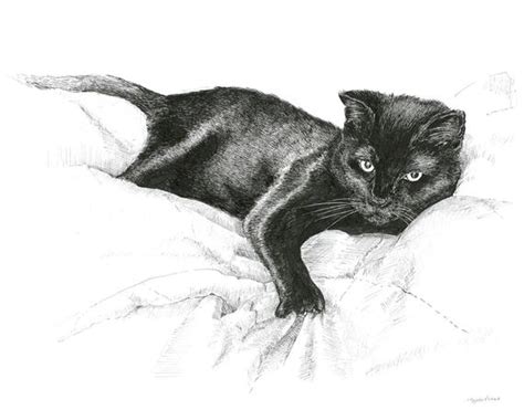 Black Cat Illustration Black And White Pictures Prints Of