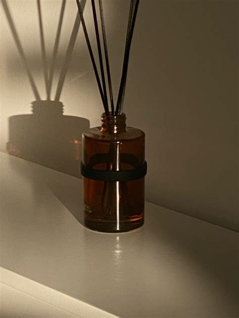 Home Aesthetics Reed Diffuser Diffuser Aesthetic