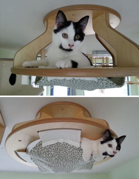 Cat hammocks are made to mimic a cat's natural sleeping environment. Modular Kitty Playground Gives Cats a Whole Room of Fun