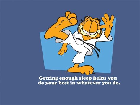 Funny Garfield Wallpapers Wallpaper Cave