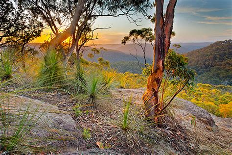 Australian Landscape Photography Gallery Andrew Barnes Photography