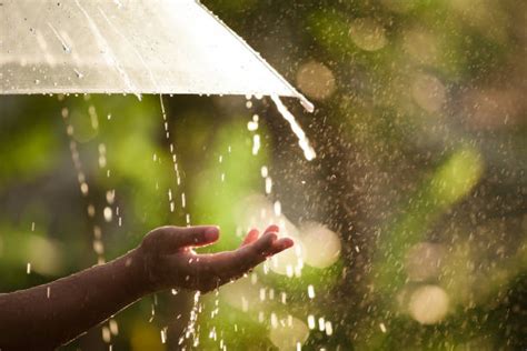 Best Summer Rain Stock Photos Pictures And Royalty Free Images Istock