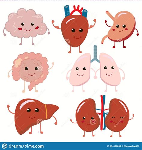 Cute Strong Happy Human Healthy Strong Organs Set Vector Cartoon