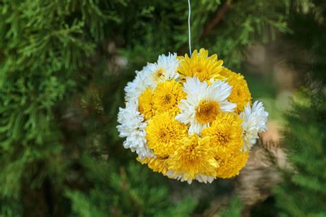 Grow beds, garden mulches, tomato growing, vegetable supports 70 Hanging Flower Planter Ideas (PHOTOS and TOP 10)