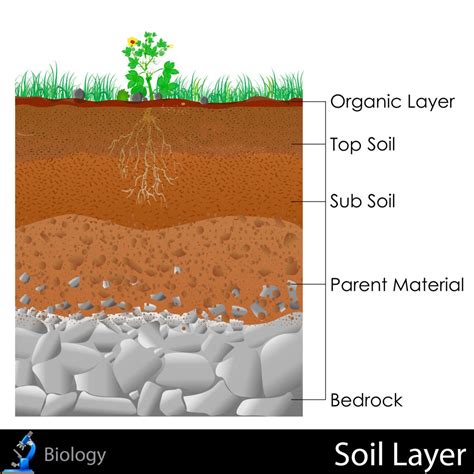 Soil Pictures For Kids The Home Garden