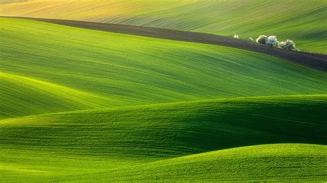 HD wallpaper: nature, 1920x1080, green, wales, plain ...