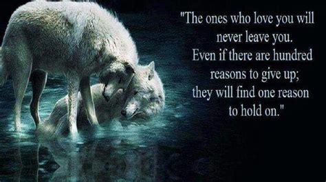 Misc Wolf Qoutes Lone Wolf Quotes Wisdom Quotes True Quotes Wise