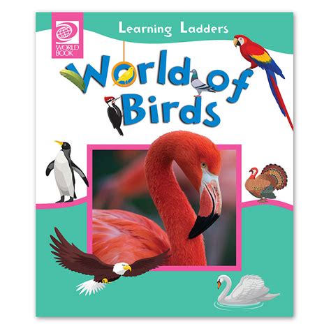 World Of Birds World Book