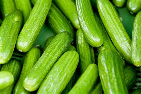 Getting To Know Cucumbers Part 3 Of 3 A Guide To Cucumber Types