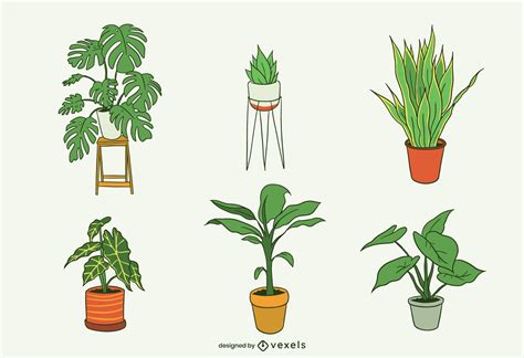 House Plants Illustration Pack Vector Download