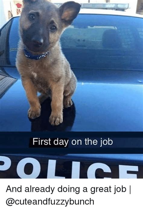 First Day On The Job Poli And Already Doing A Great Job Meme On Meme